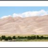 Anne Phillips Photography - Shaped by Wind