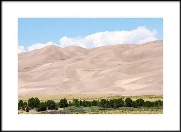Anne Phillips Photography - Shaped by Wind