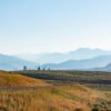 Anne Phillips Photography - To the Heart of Yellowstone