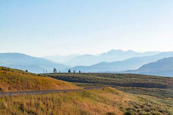 Anne Phillips Photography - To the Heart of Yellowstone