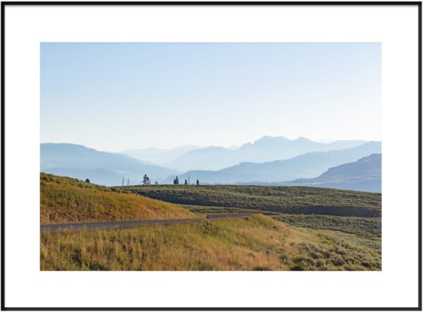 Anne Phillips Photography - Blue Horizon