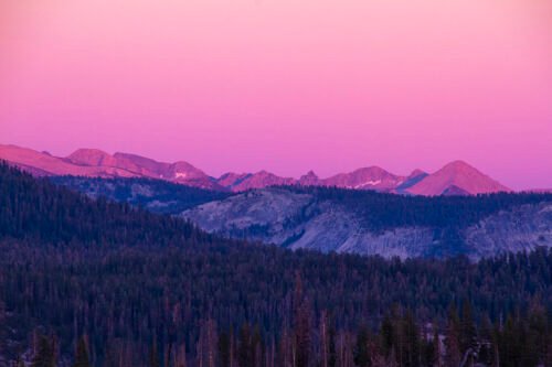 Anne Phillips Photography -AFTERGLOW
