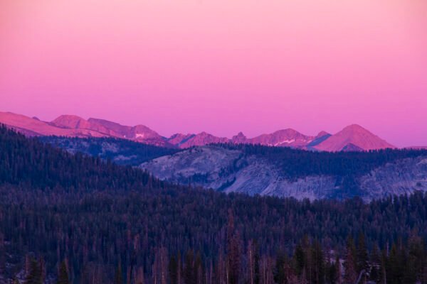 Anne Phillips Photography -AFTERGLOW