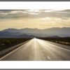 Anne Phillips Photography - Golden Road