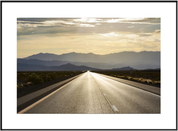 Anne Phillips Photography - Golden Road