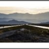 Anne Phillips Photography - Connection