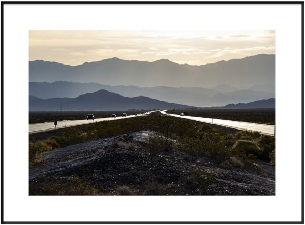 Anne Phillips Photography - Connection