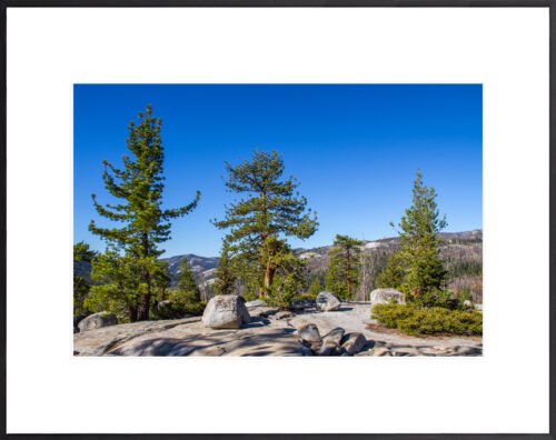 Anne Phillips Photography - Rooted Together