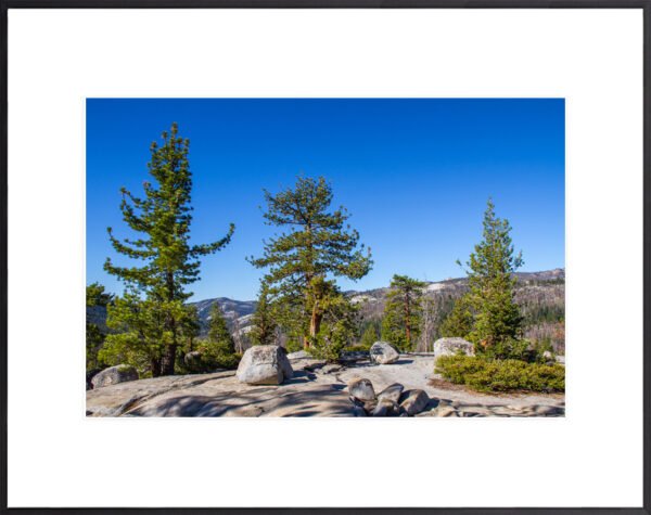 Anne Phillips Photography - Rooted Together