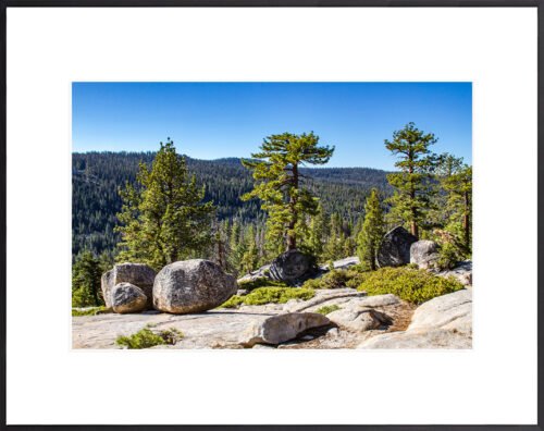 Anne Phillips Photography - Yosemite NP - enduring