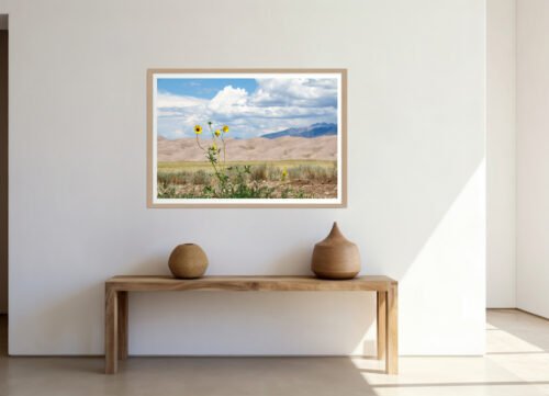 Anne Phillips Photography - Great Sand Dunes NP - Wild Bloom - wall frame