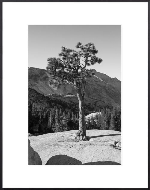 Anne Phillips Photography - Granite Guardian II