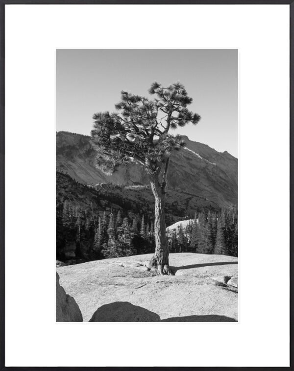 Anne Phillips Photography - Granite Guardian II