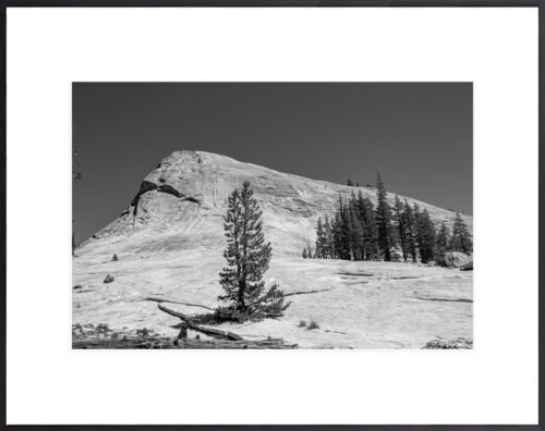 Anne Phillips Photography - Stone Sentinental