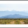Anne Phillips Photography - Distant Harmony