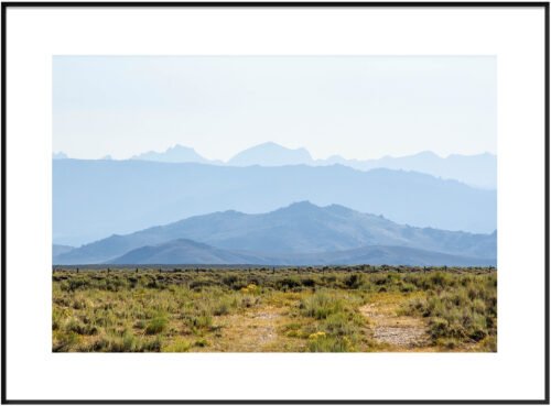 Anne Phillips Photography - Distant Harmony