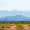 Anne Phillips Photography - Distant Harmony