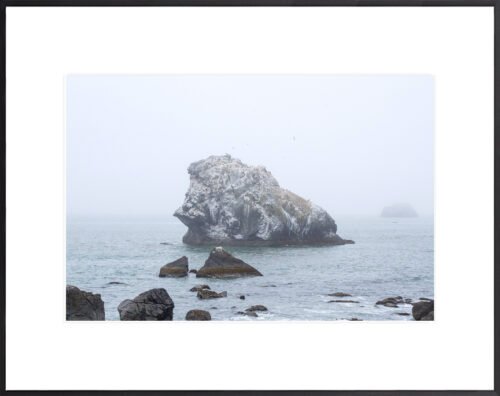 Anne Phillips Photography-California Coast