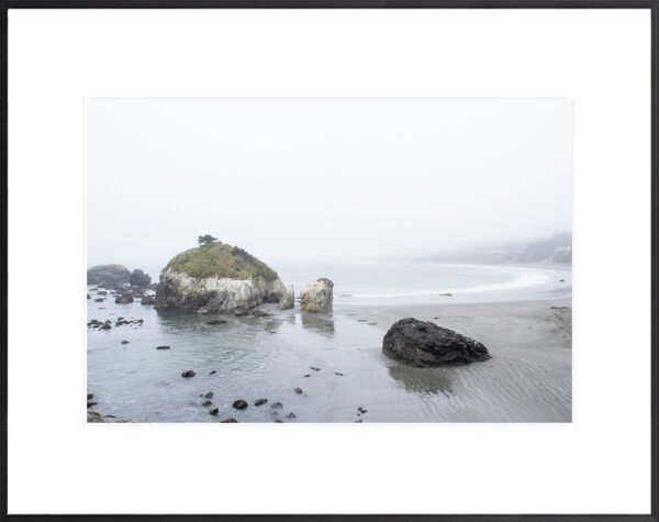 In the mid of mist Anne Phillips Photography-California Coast 6