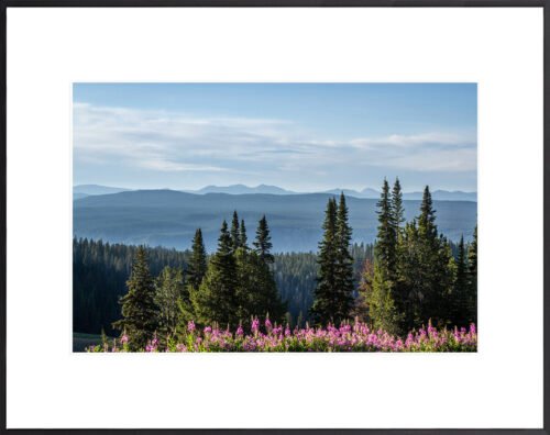 Anne-Phillips-Photography-Above the Wilderness