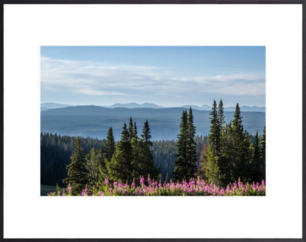 Above the Wilderness Anne-Phillips-Photography-Above the Wilderness