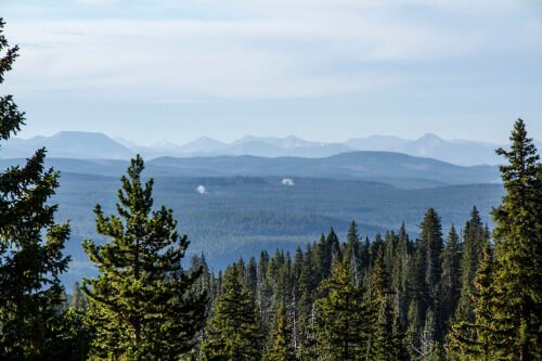 Anne Phillips Photography - Yellowstone Beyond Pines