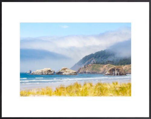 Anne Phillips Photography - Oregon Coast