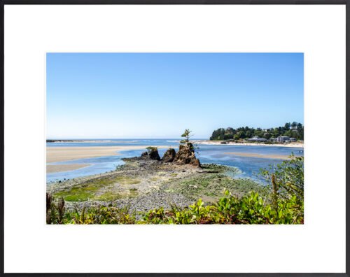 Anne Phillips Photography - Oregon Coast