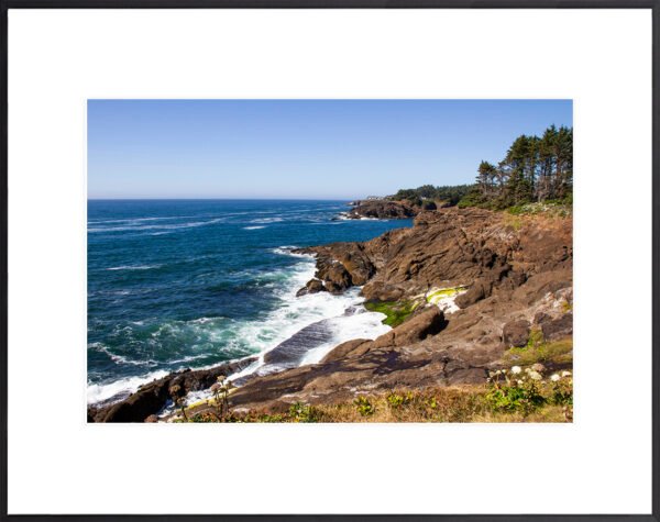 Anne Phillips Photography - Oregon Coast