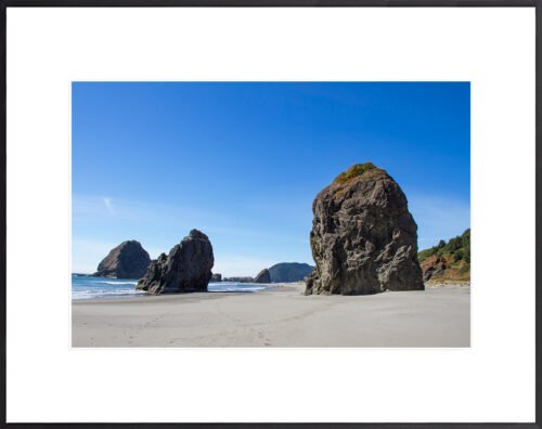 Anne Phillips Photography - Oregon Coast