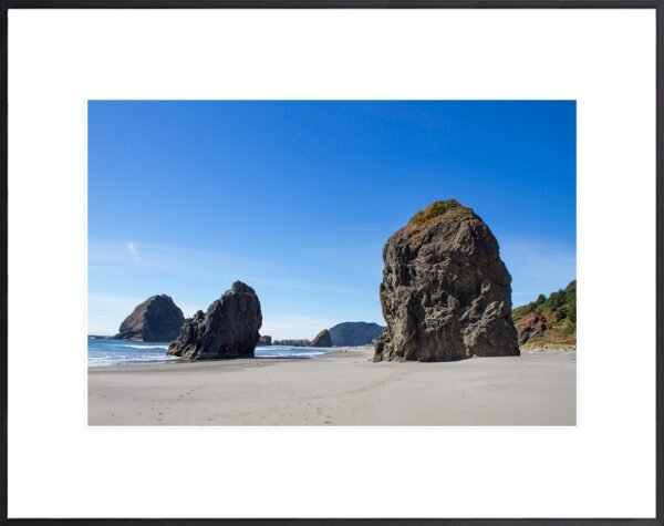 Anne Phillips Photography - Oregon Coast
