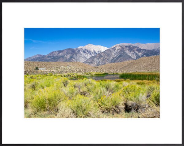 Trafton Mnt Anne Phillips Photography - Trafton Mountain NV