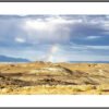 Anne Phillips Photography - Touch of Color
