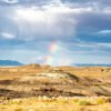 Anne Phillips Photography - Touch of Color